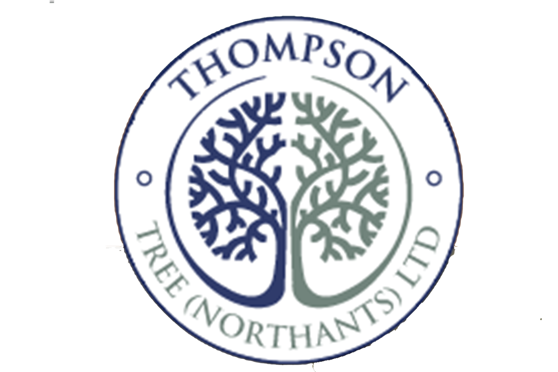 thompson-tree-northants-home1