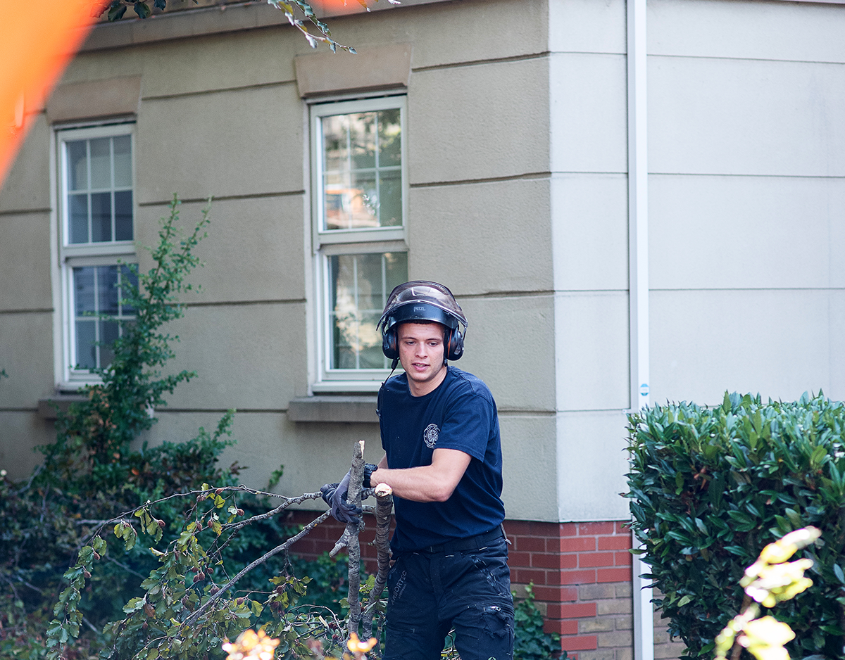Commercial tree surgery
