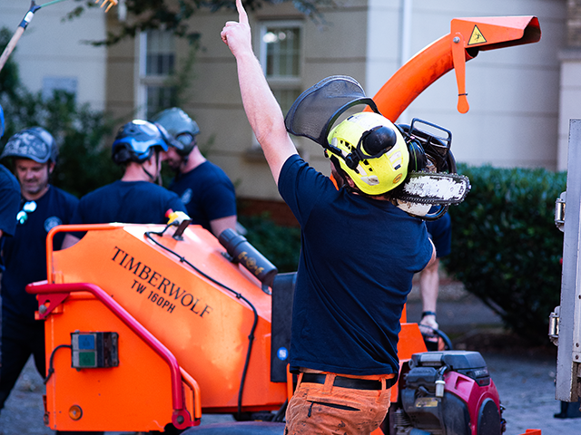 Tree removal Northampton